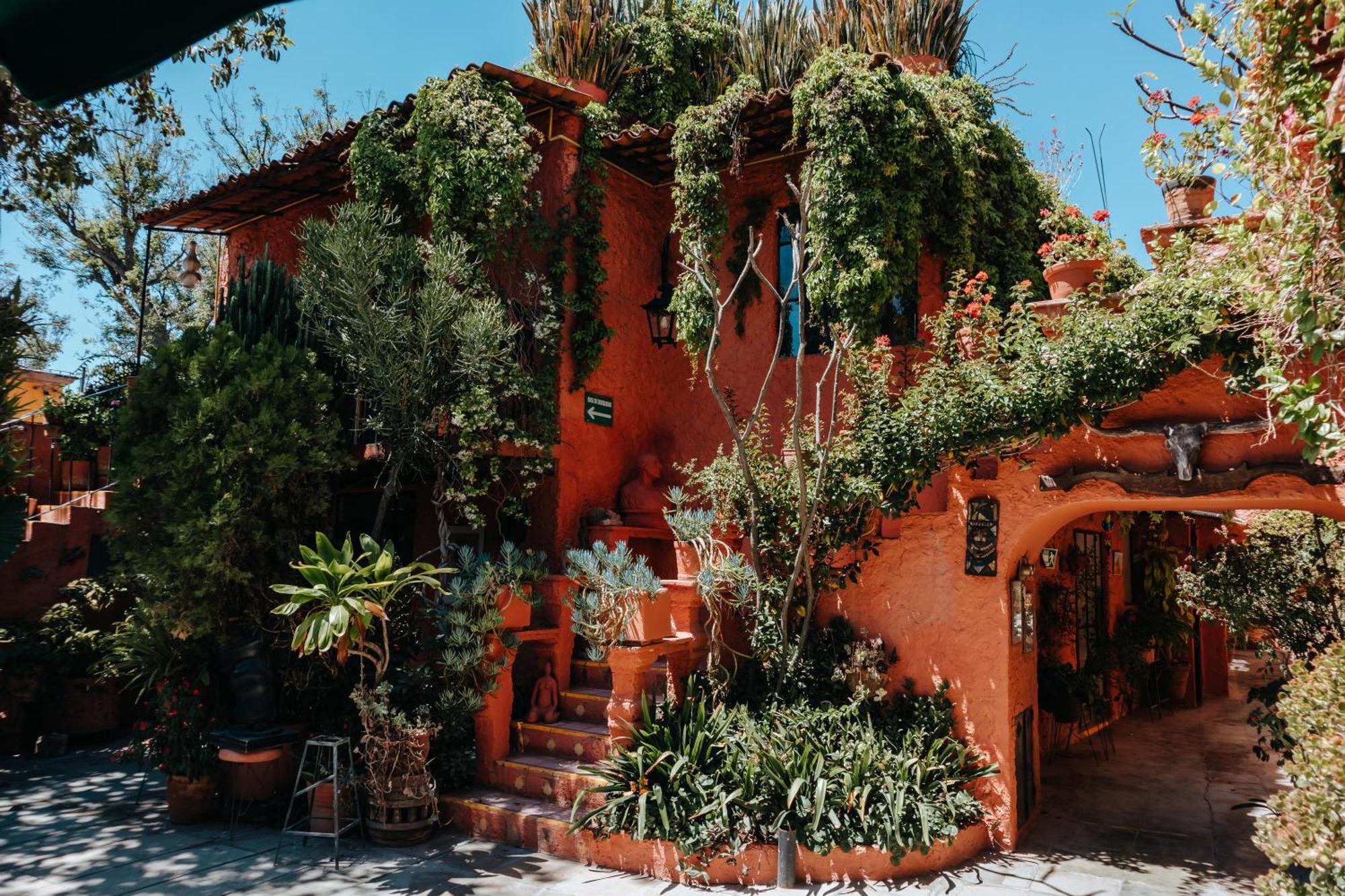 La Mansión Del Bosque Hotel San Miguel de Allende Exterior foto